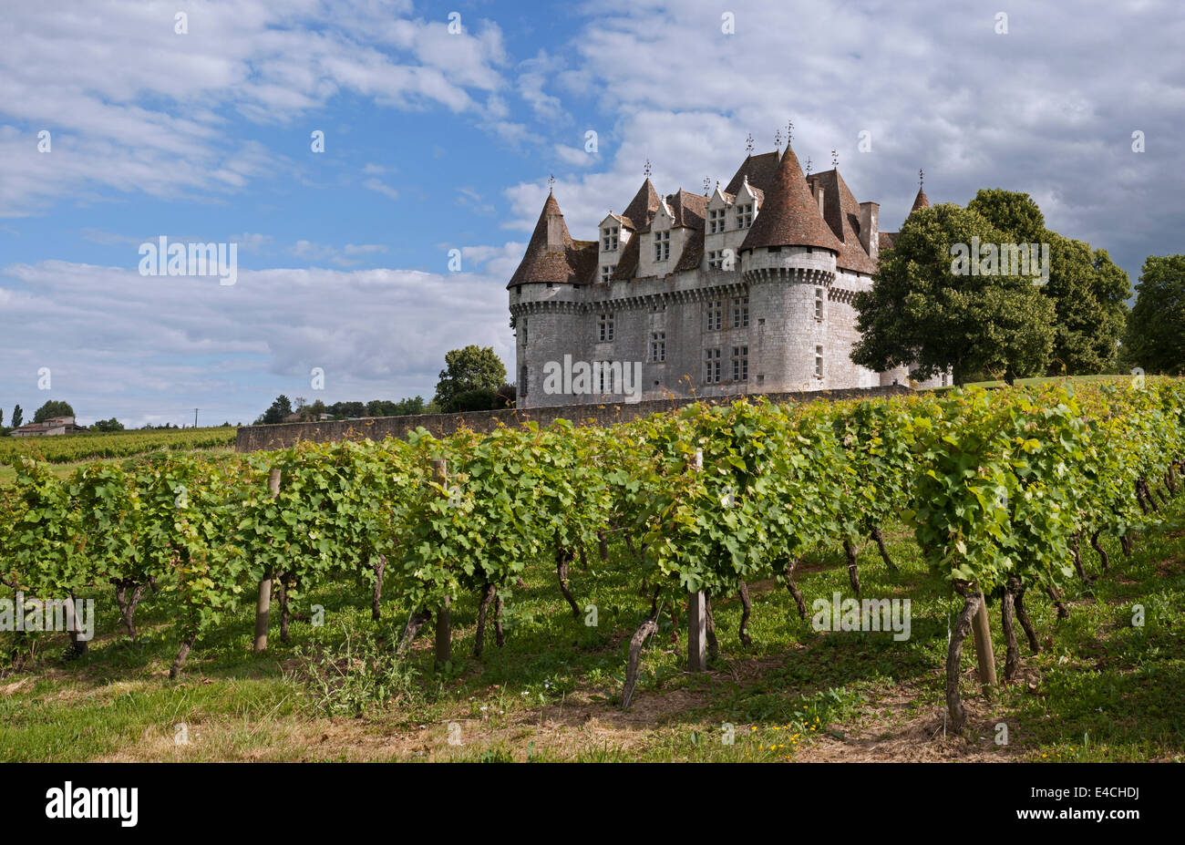 Le château Le Château de Monbazillac et vignoble, Dordogne, Aquitaine, France Banque D'Images