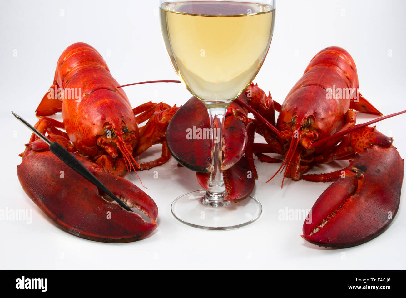 Ensemble de deux homards cuits tenant une fourche de fruits de mer et verre de vin blanc Banque D'Images