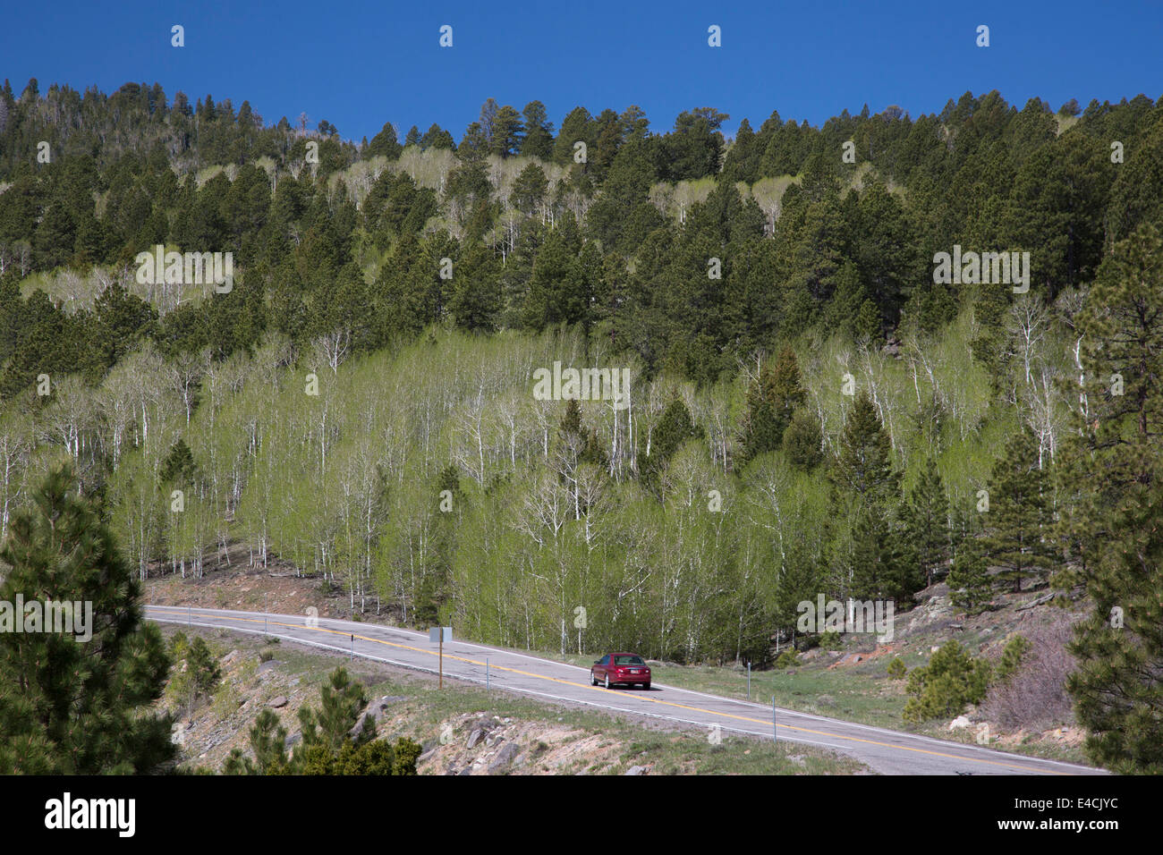 Boulder, Utah - Utah Scenic Byway 12 plus de Boulder Mountain dans Dixie National Forest. Banque D'Images