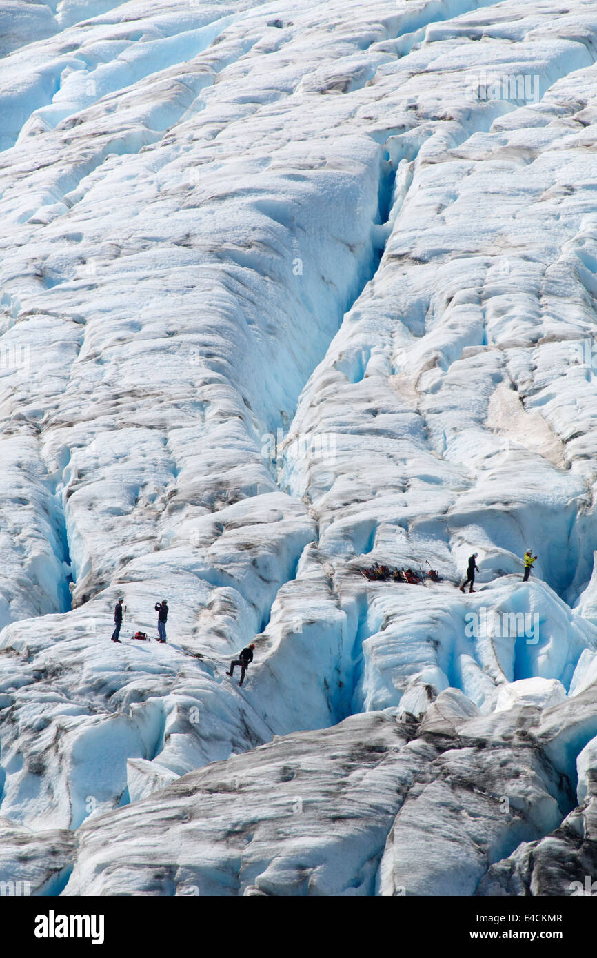 Les glaciéristes sur Harding Icefield, Sortie Glacier, Kenai Fjords National Park, près de Seward, en Alaska. Banque D'Images