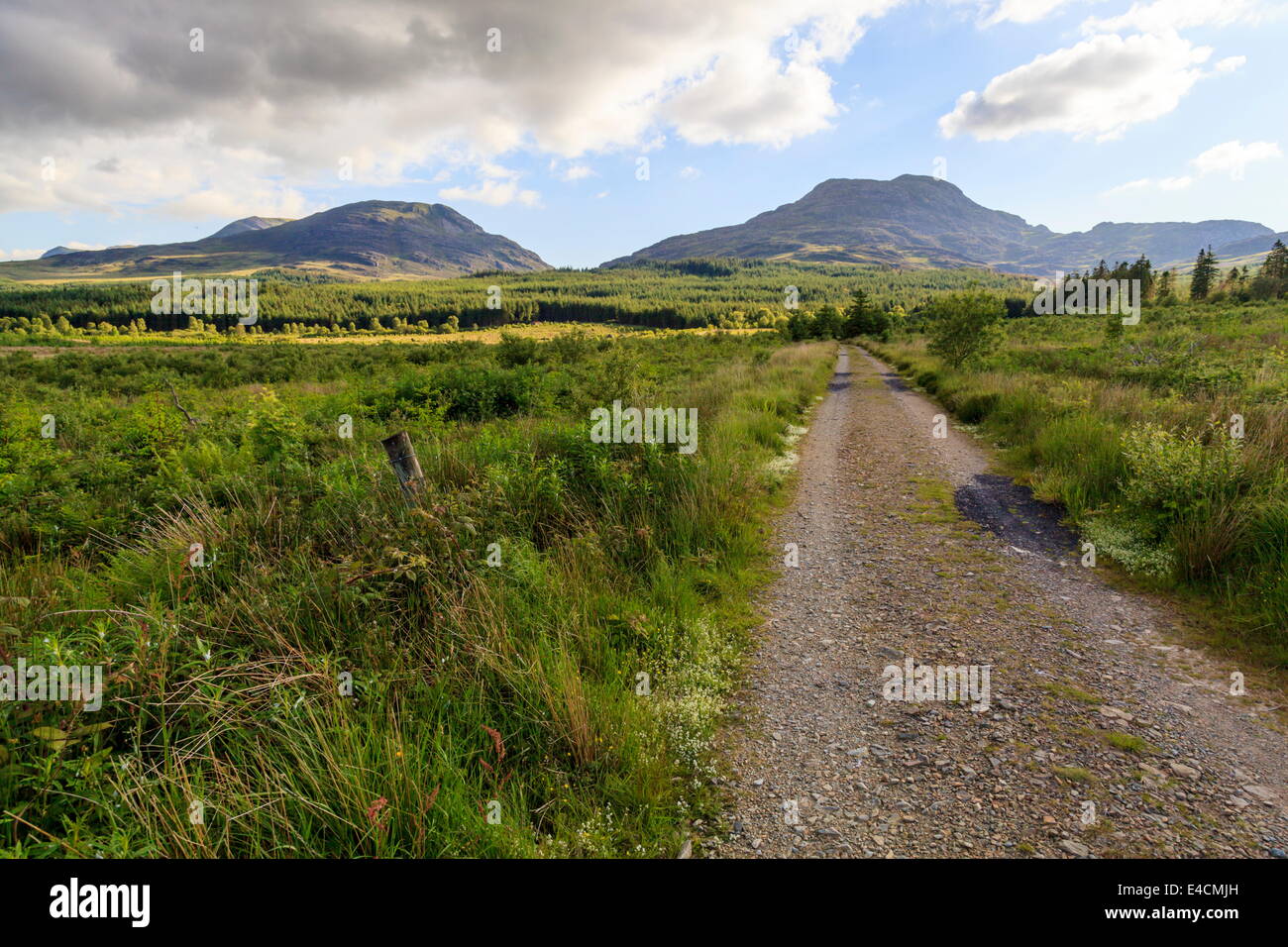 Le Rhinogs vu du côté nord-est Banque D'Images