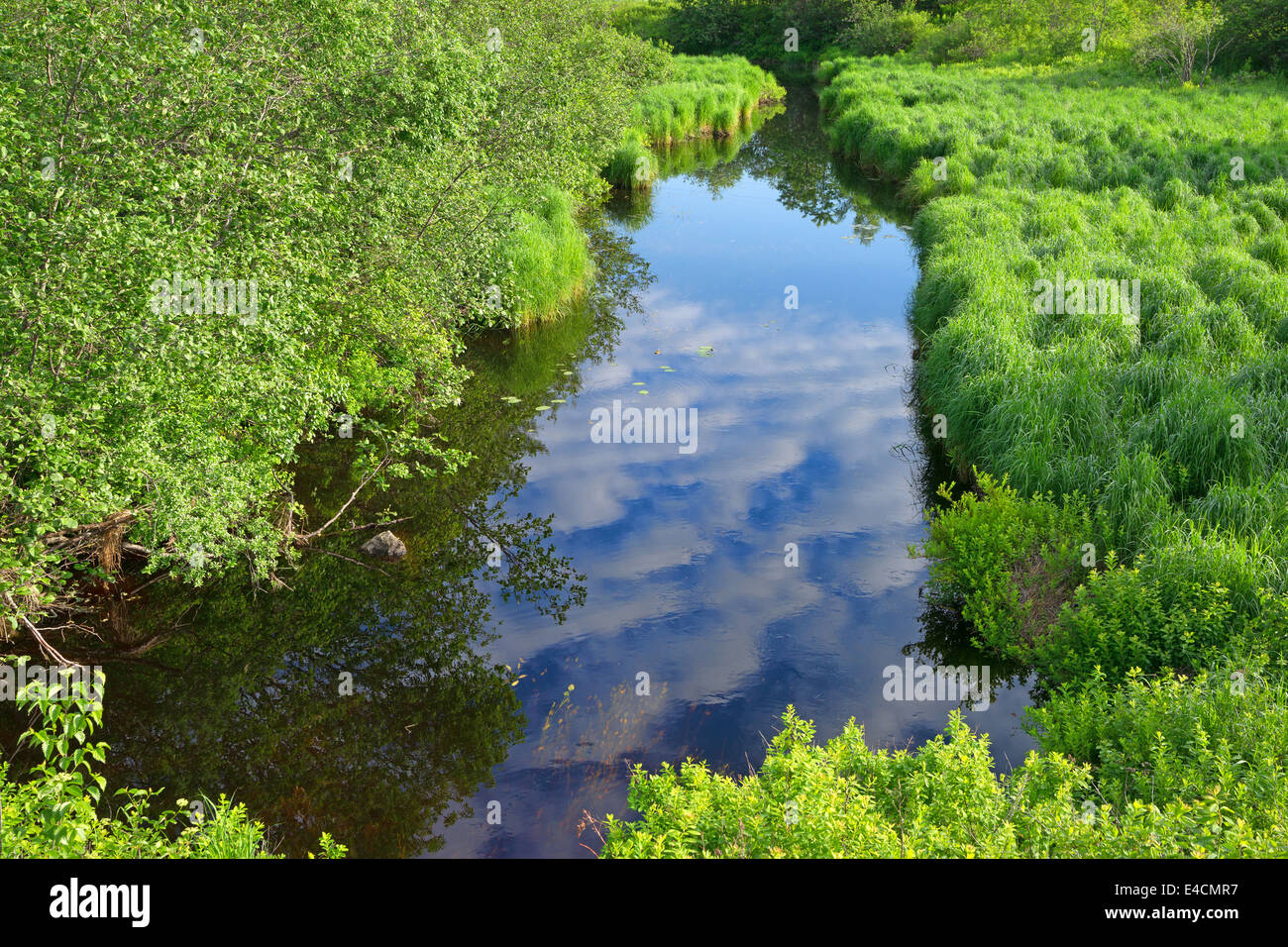 Un petit ruisseau d'arbres et l'herbe verte sur les bords et le reflet d'un ciel bleu avec des nuages vaporeux en milieu rural dans le Maine. Banque D'Images