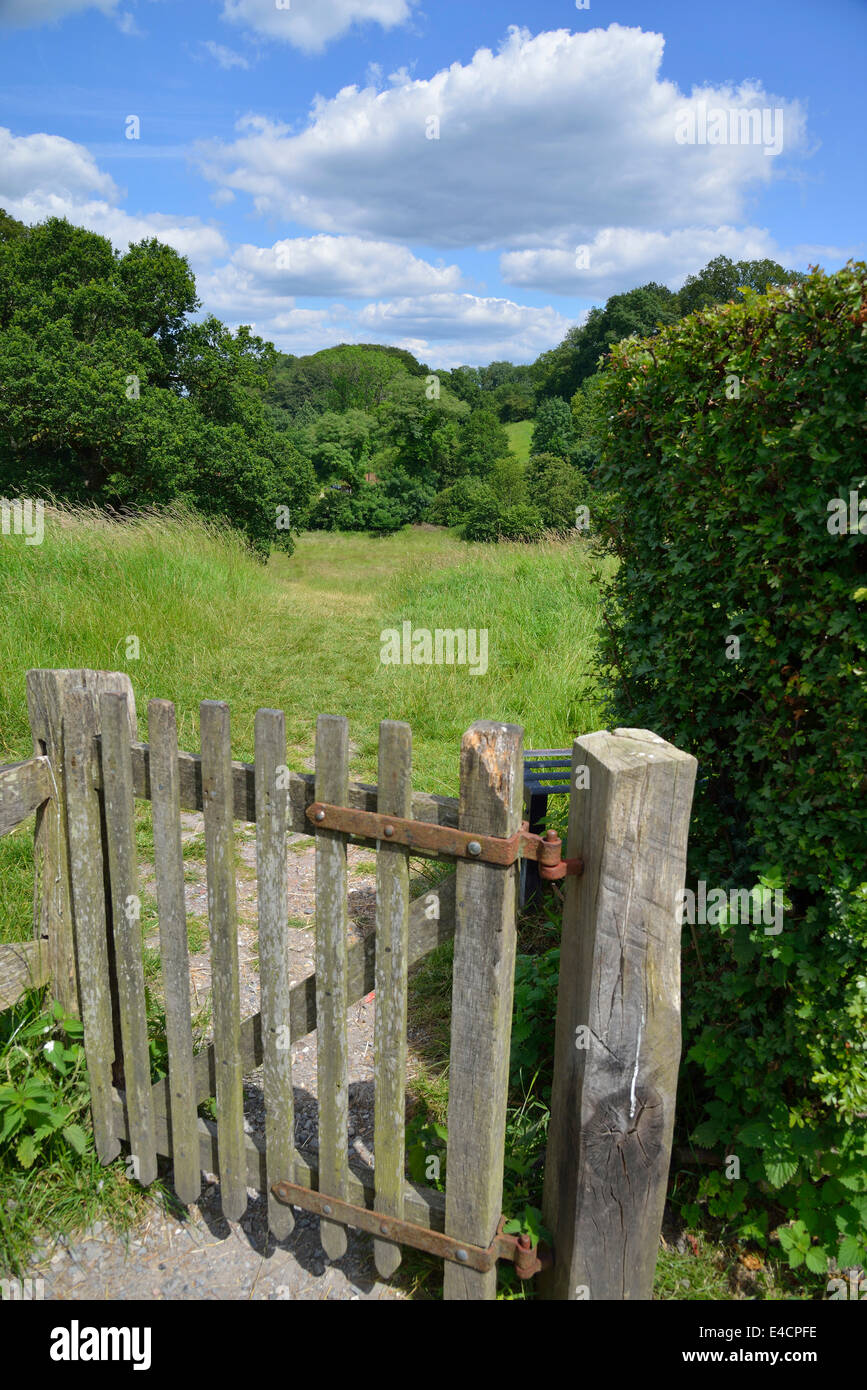 Piquets en bois menant au sentier dans la campagne dans la région de Selborne, Hampshire, England, UK Banque D'Images