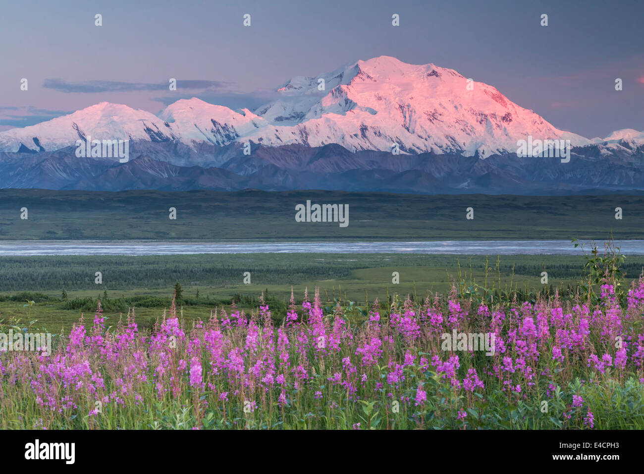 Mt McKinley, également connu sous le nom de Denali, le parc national Denali, en Alaska. Banque D'Images