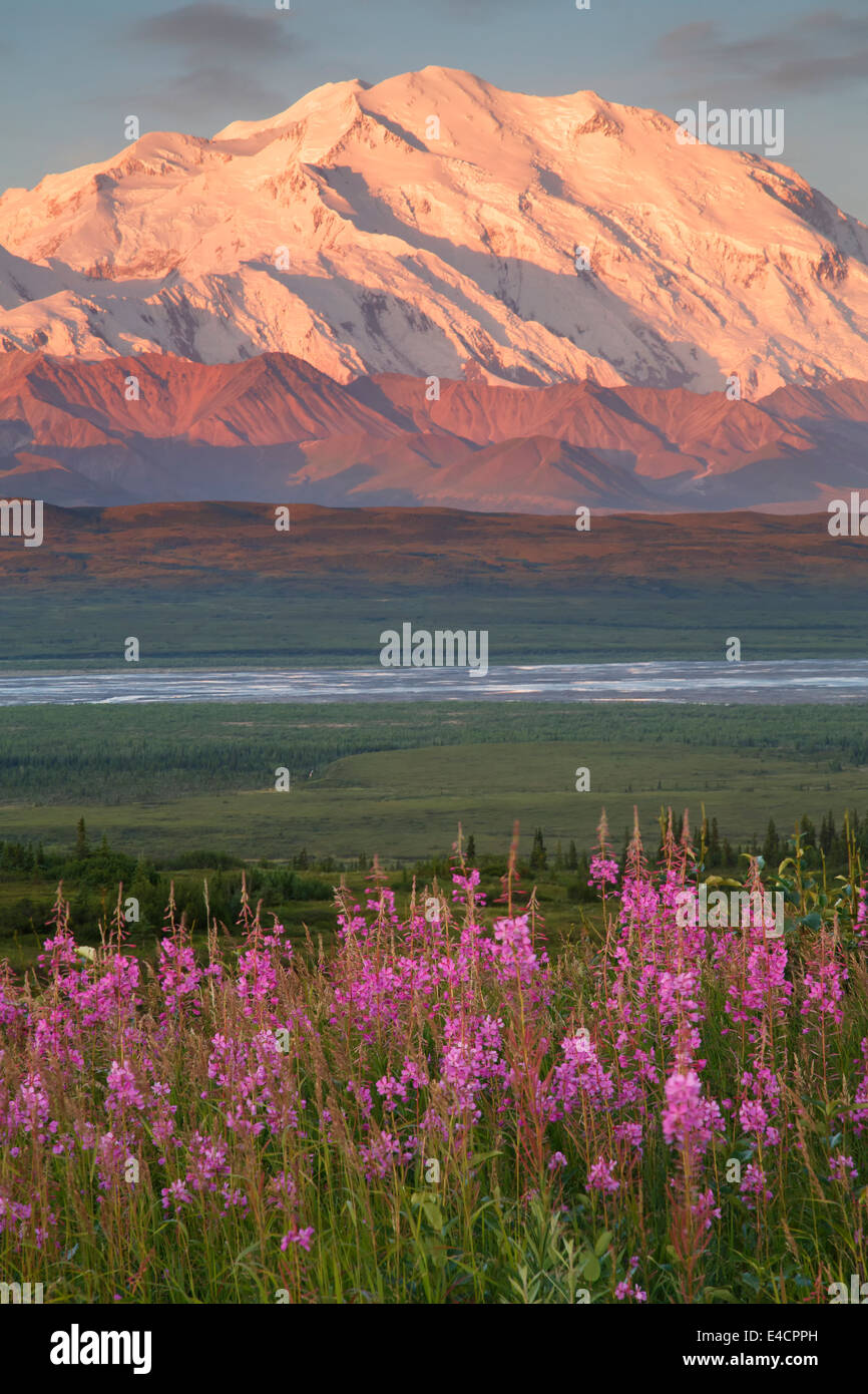 Mt McKinley, également connu sous le nom de Denali, le parc national Denali, en Alaska. Banque D'Images