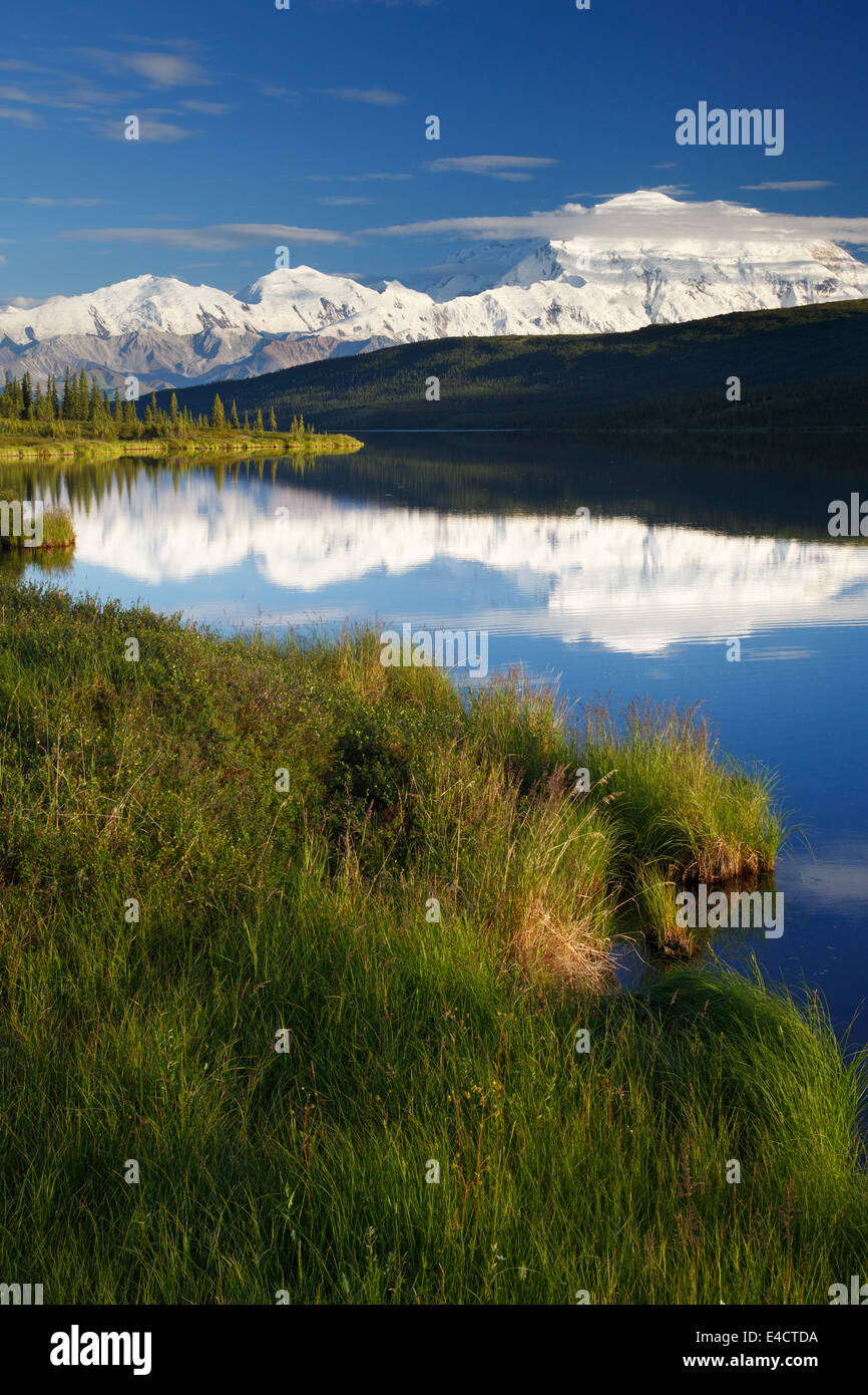 Mt. McKinley, également connu sous le nom de Denali, me demande de Lake, le parc national Denali, en Alaska. Banque D'Images