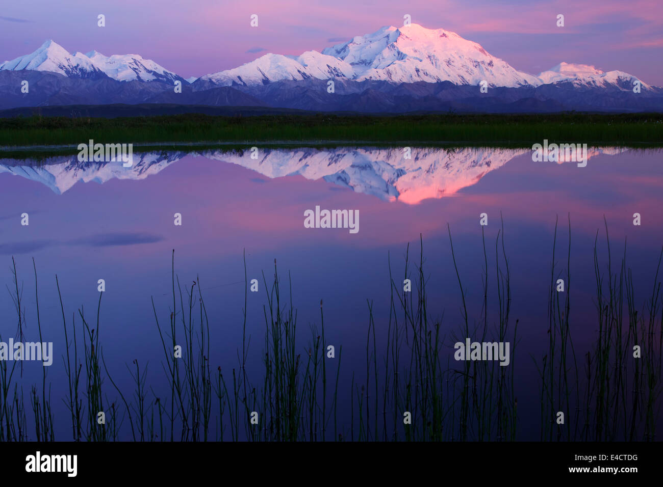 Mt. McKinley, également connu sous le nom de Denali, le parc national Denali, en Alaska. Banque D'Images