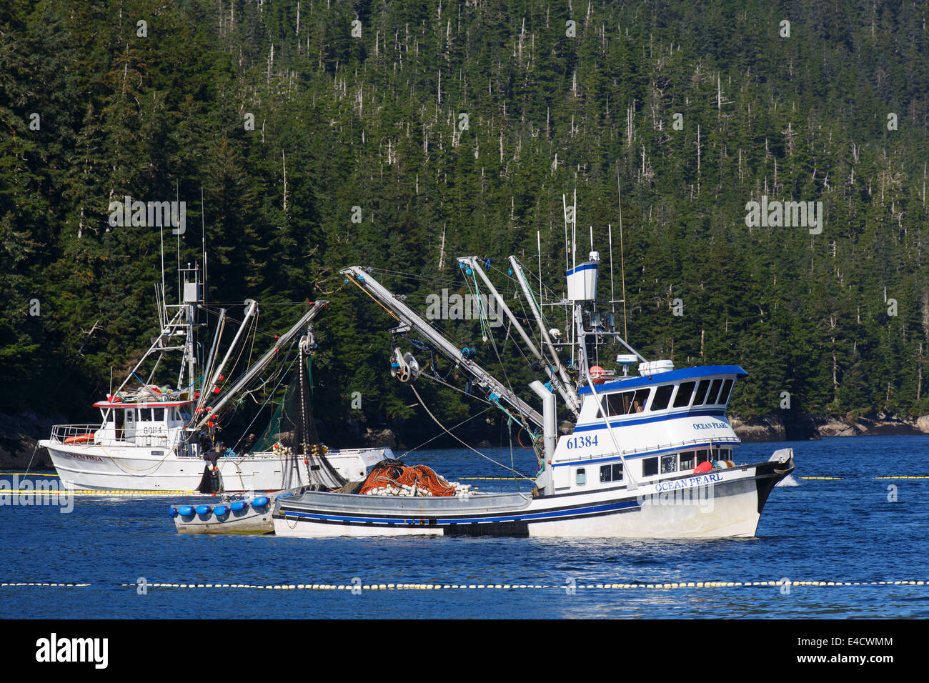 La pêche commerciale du saumon, Prince William Sound, Alaska, la Forêt Nationale de Chugach Banque D'Images