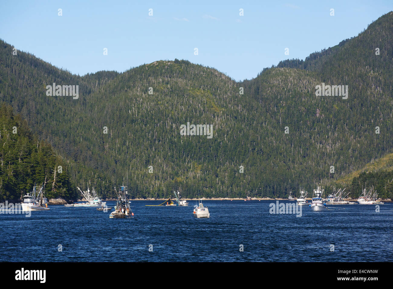 La pêche commerciale du saumon, Prince William Sound, Alaska, la Forêt Nationale de Chugach Banque D'Images