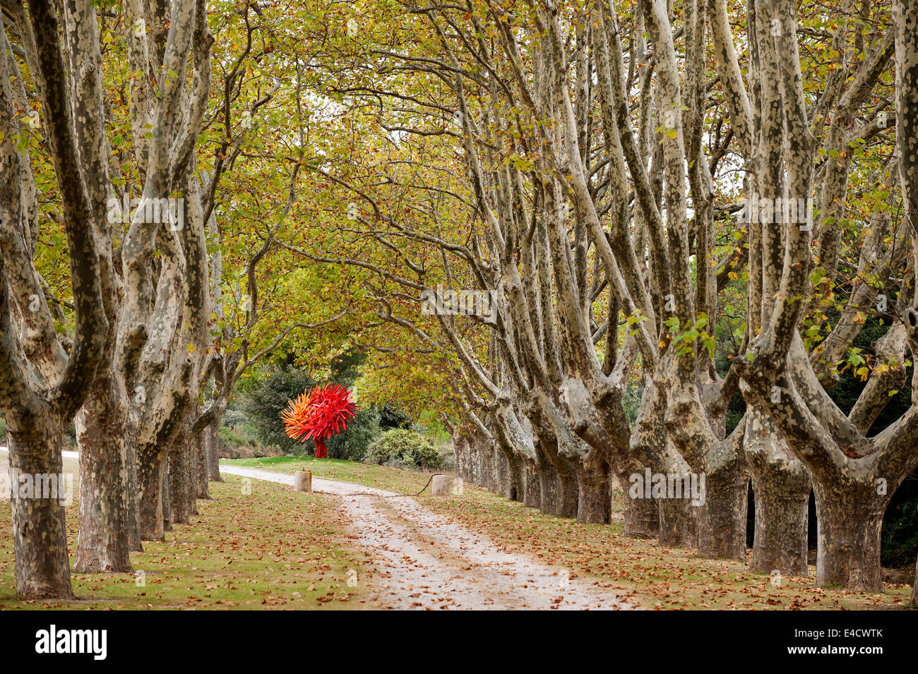 Un rouge vif fracto sculpture fleur géométrique par Miguel Chevalier à la fin d'une allée de platanes Banque D'Images