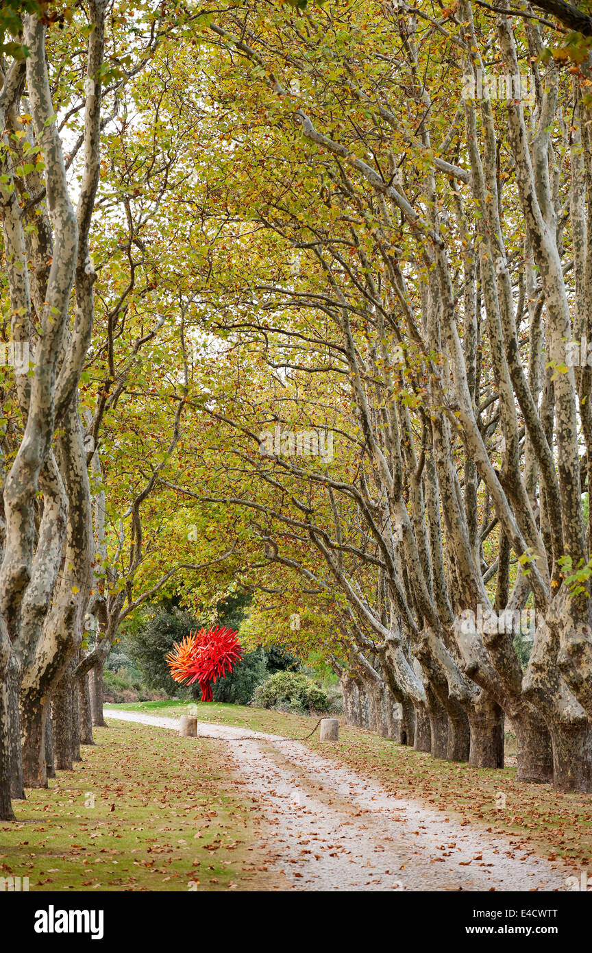 Un rouge vif fracto sculpture fleur géométrique par Miguel Chevalier à la fin d'une allée de platanes Banque D'Images