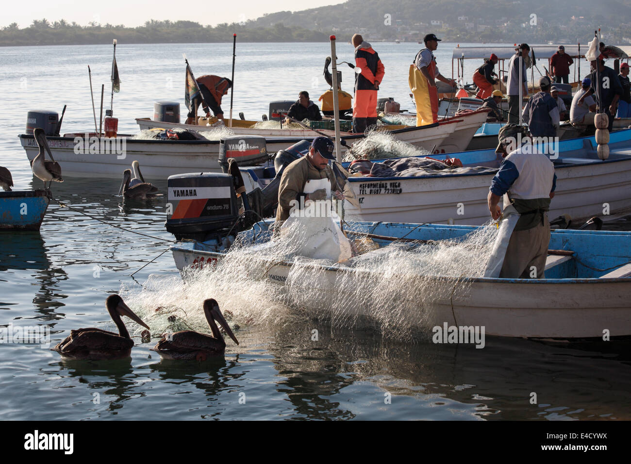 Vérifier leurs filets des pêcheurs après une nuit sur le marché de l'eau dans une station de Mazatlán, Sinaloa, Mexique. Banque D'Images