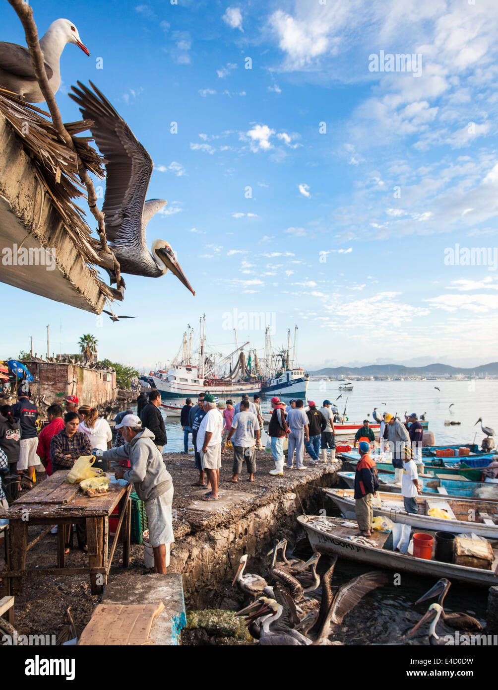 Le marché aux poissons près de l'ancienne marina de Mazatlán, Sinaloa, Mexique. Banque D'Images