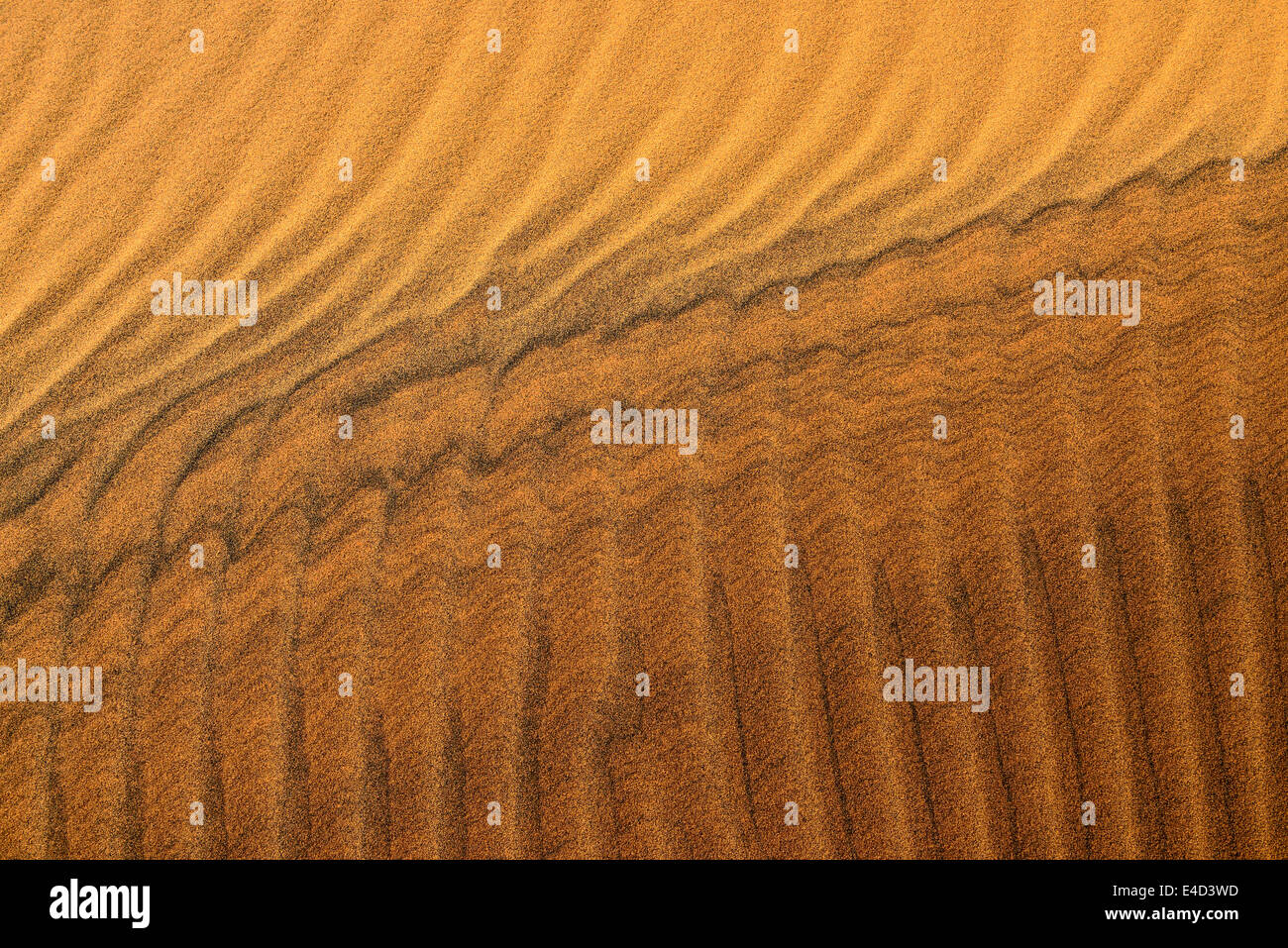 Rides de sable, la texture sur une dune de sable, le Tassili n'Ajjer, Sahara, Algérie Banque D'Images