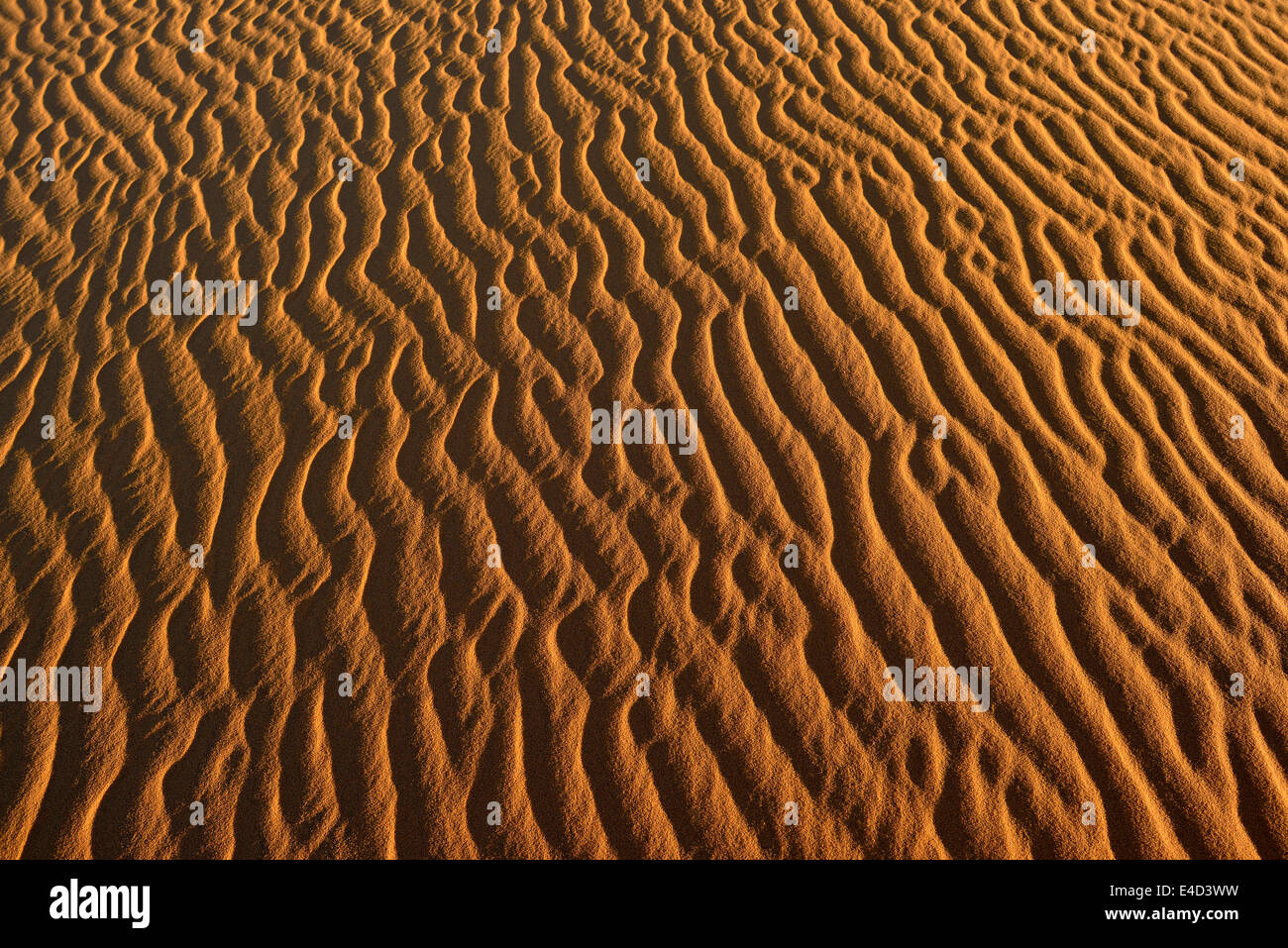 Rides de sable, la texture sur une dune de sable, le Tassili n'Ajjer, Sahara, Algérie Banque D'Images