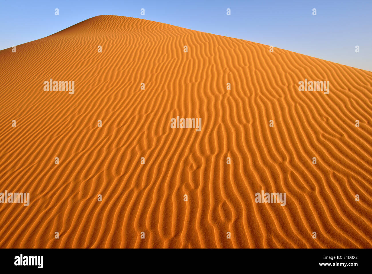 Rides de sable, la texture sur une dune de sable, le Tassili n'Ajjer, Sahara, Algérie Banque D'Images