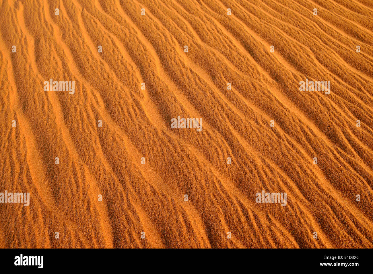 Rides de sable, la texture sur une dune de sable, le Tassili n'Ajjer, Sahara, Algérie Banque D'Images