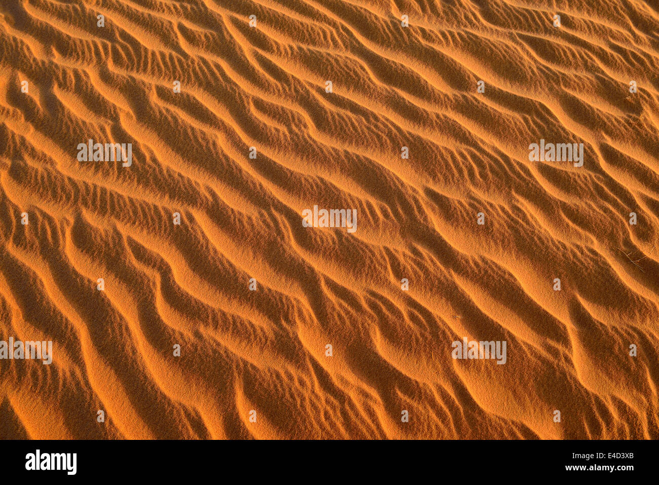 Rides de sable, la texture sur une dune de sable, le Tassili n'Ajjer, Sahara, Algérie Banque D'Images