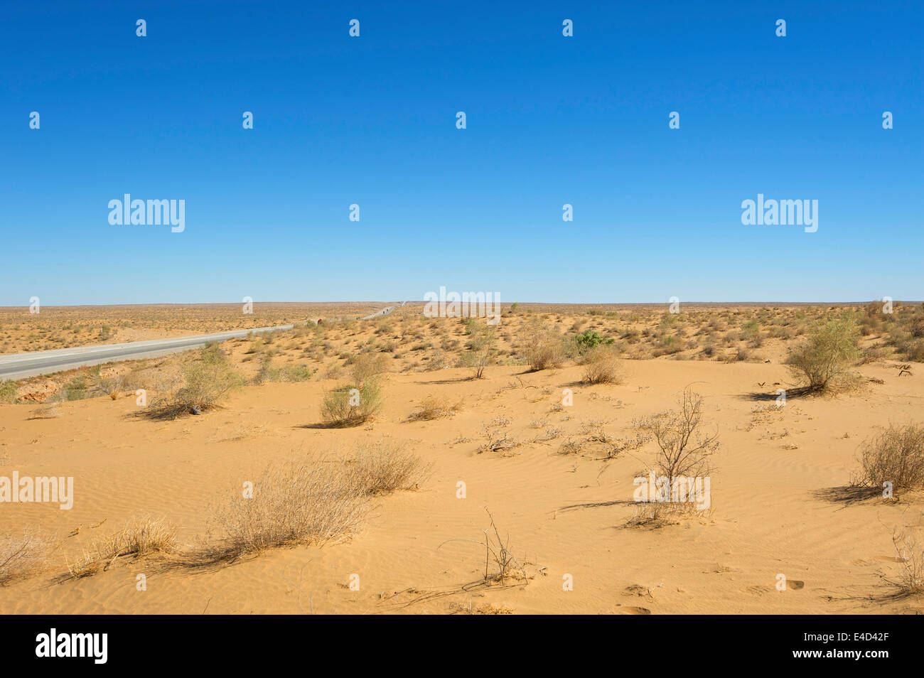 Kyzyl Kum désert, Ouzbékistan Banque D'Images