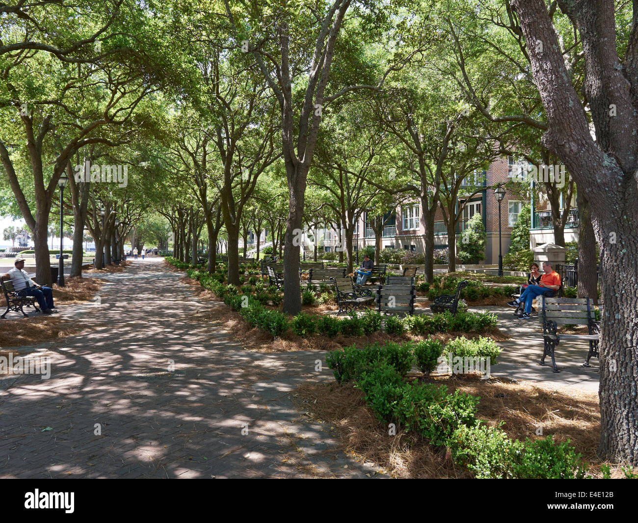 Waterfront Park, Charleston, Caroline du Sud. Les carrés d'arbres avec des bancs sont ombrées par live oaks et attrapez les brises de mer Banque D'Images