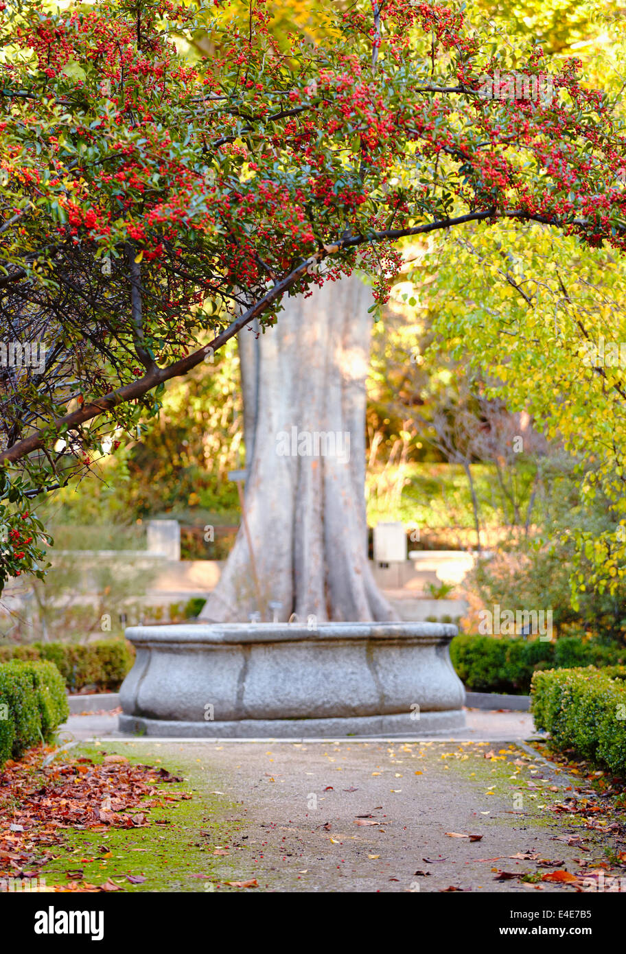 À l'automne du Jardin botanique royal. Madrid, Espagne Banque D'Images