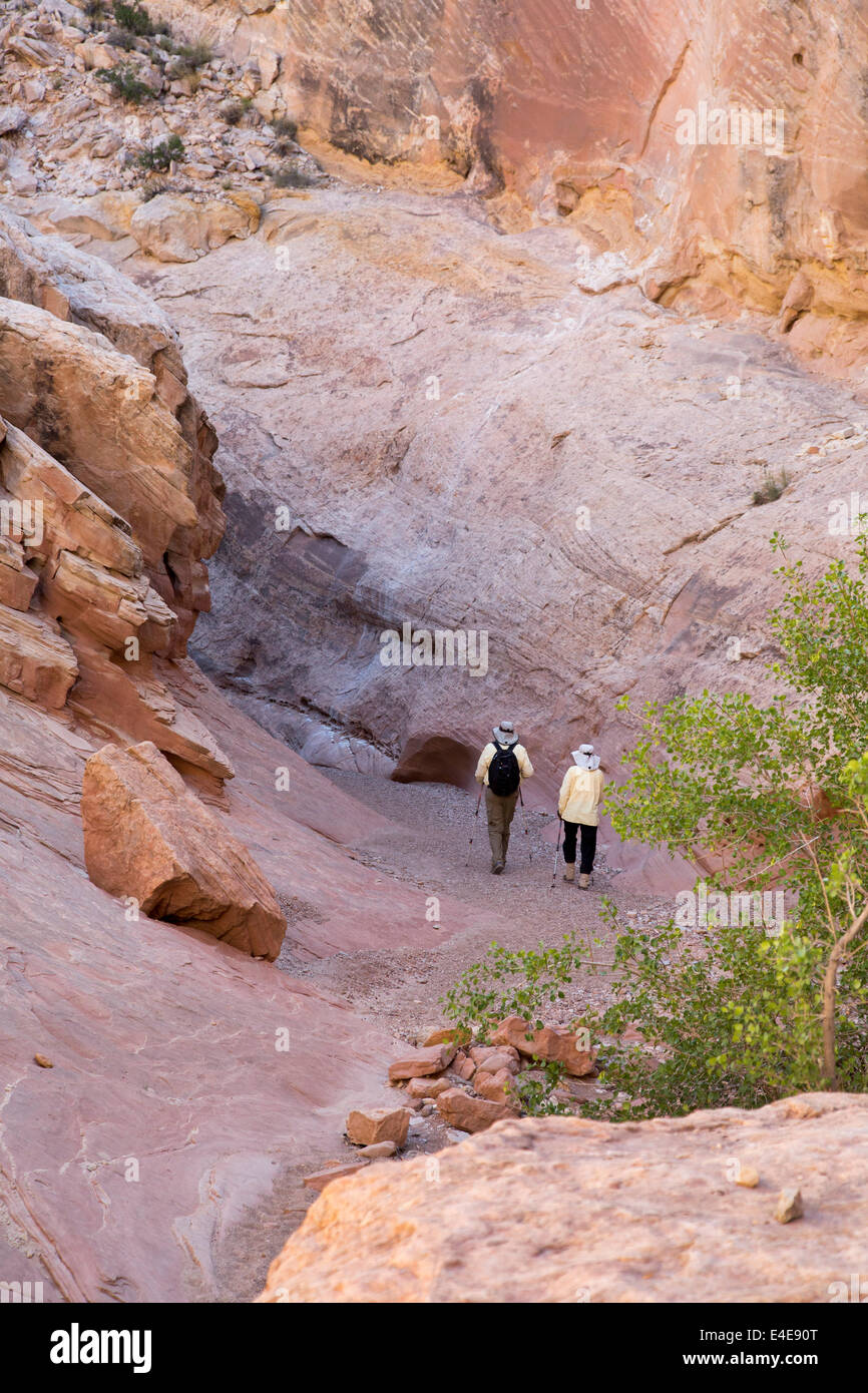 Hanksville, Utah - un couple de retraités randonnée dans peu de Wild Horse Canyon. Banque D'Images