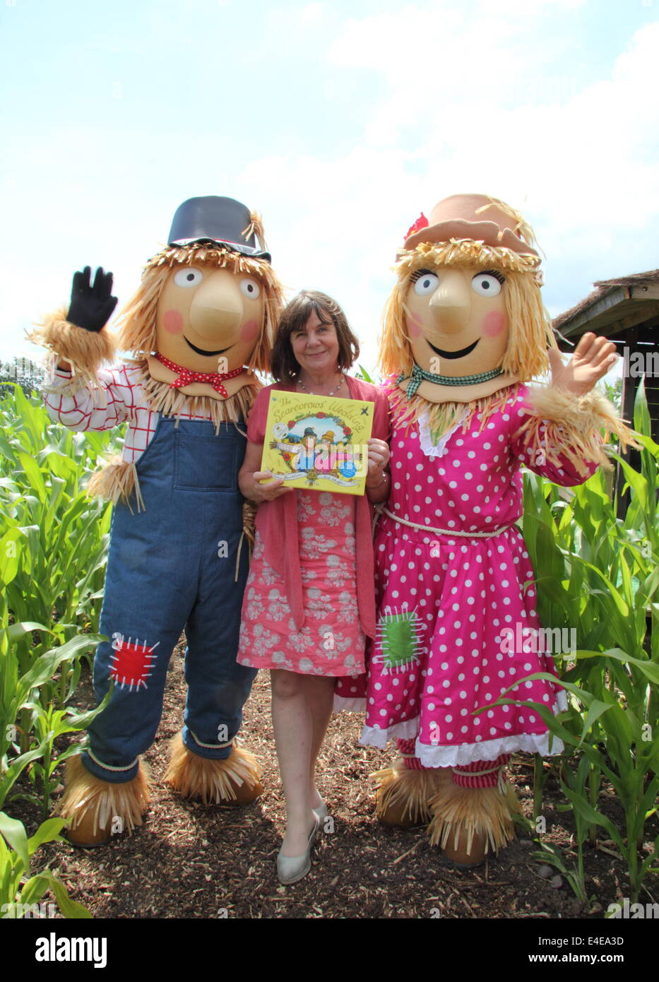 Burton-on-Trent, Staffordshire, Royaume-Uni. 09 juillet 2014. Julia Donaldson avec Harry O'Hay et Betty O'l'orge. La Forêt nationale ferme Aventure lance sa 11e édition annuelle de maïs de 4 hectares labyrinthe qui, cette année, célèbre la publication de Les épouvantails' livre de mariage par les créateurs de The Gruffalo & Stick Man). Conçu dans la forme des épouvantails' caractères Mariage Betty O'Orge et Harry O'Hay, le labyrinthe dispose de trois kilomètres de voies, ponts et affichage des tours. Credit : Deborah Vernon/Alamy Live News Banque D'Images