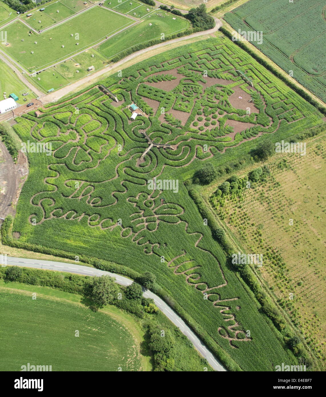 Burton-on-Trent, Staffordshire, Royaume-Uni. 09 juillet 2014. La Forêt nationale ferme Aventure lance sa 11e édition annuelle de maïs de 4 hectares labyrinthe qui, cette année, célèbre la publication de Les épouvantails' livre de mariage par les créateurs de The Gruffalo & Stick Man). Conçu dans la forme des épouvantails' caractères Mariage Betty O'Orge et Harry O'Hay, le labyrinthe dispose de trois kilomètres de voies, ponts et affichage des tours. Credit : Deborah Vernon/Alamy Live News Banque D'Images