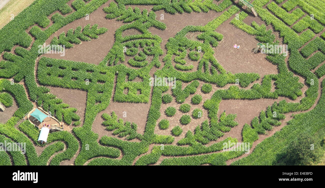 Burton-on-Trent, Staffordshire, Royaume-Uni. 09 juillet 2014. La Forêt nationale ferme Aventure lance sa 11e édition annuelle de maïs de 4 hectares labyrinthe qui, cette année, célèbre la publication de Les épouvantails' livre de mariage par les créateurs de The Gruffalo & Stick Man). Conçu dans la forme des épouvantails' caractères Mariage Betty O'Orge et Harry O'Hay, le labyrinthe dispose de trois kilomètres de voies, ponts et affichage des tours. C'est le premier livre que l'auteur, Julia Donaldson MBE et Illustrator, Axel Scheffler ont créé ensemble en deux ans. Credit : Deborah Vernon/Alamy Live News Banque D'Images
