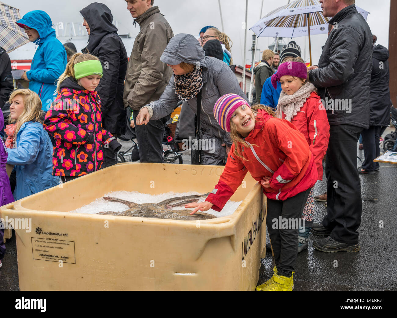 L'apprentissage des enfants au sujet des poissons au cours de l'assemblée annuelle de seaman's day festival, Reykjavik, Islande Banque D'Images