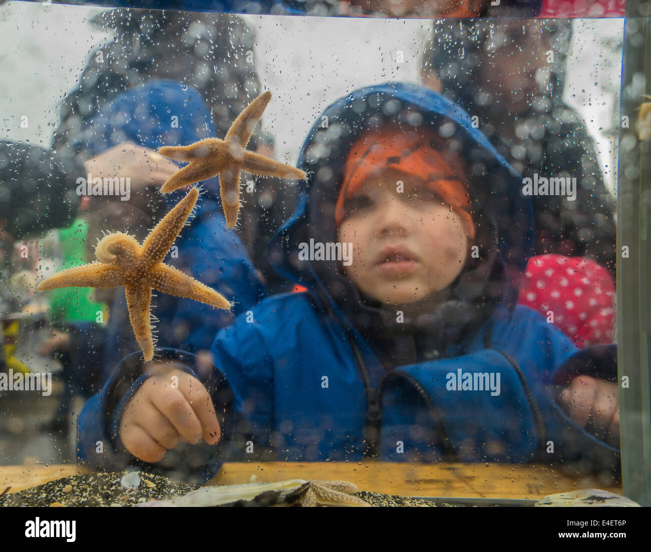 L'apprentissage des enfants sur les fruits de mer au cours de l'assemblée annuelle de seaman's day festival, Reykjavik, Islande Banque D'Images