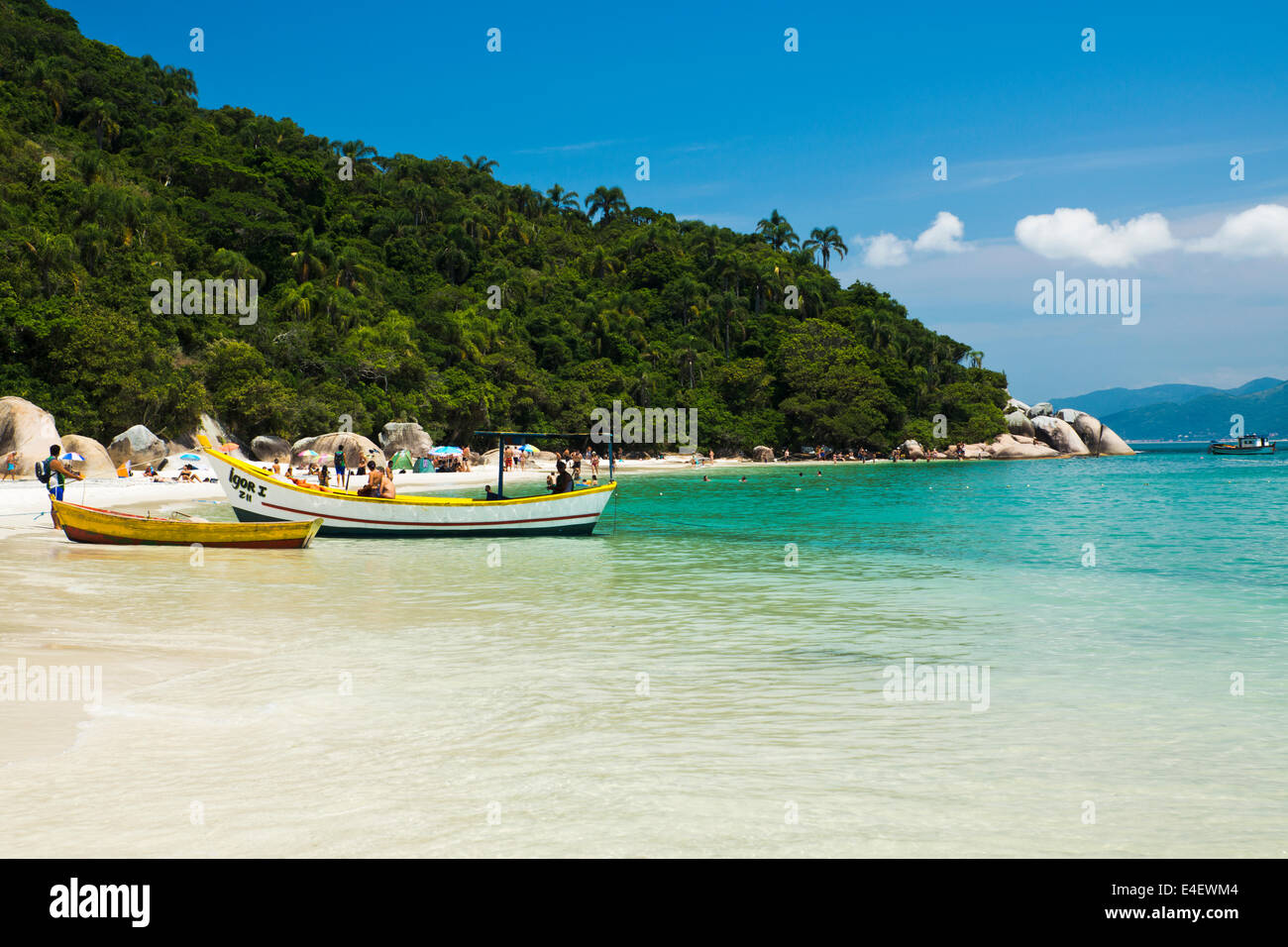 Plage De Campeche le De Santa Catarina Florian polis Br sil Photo 