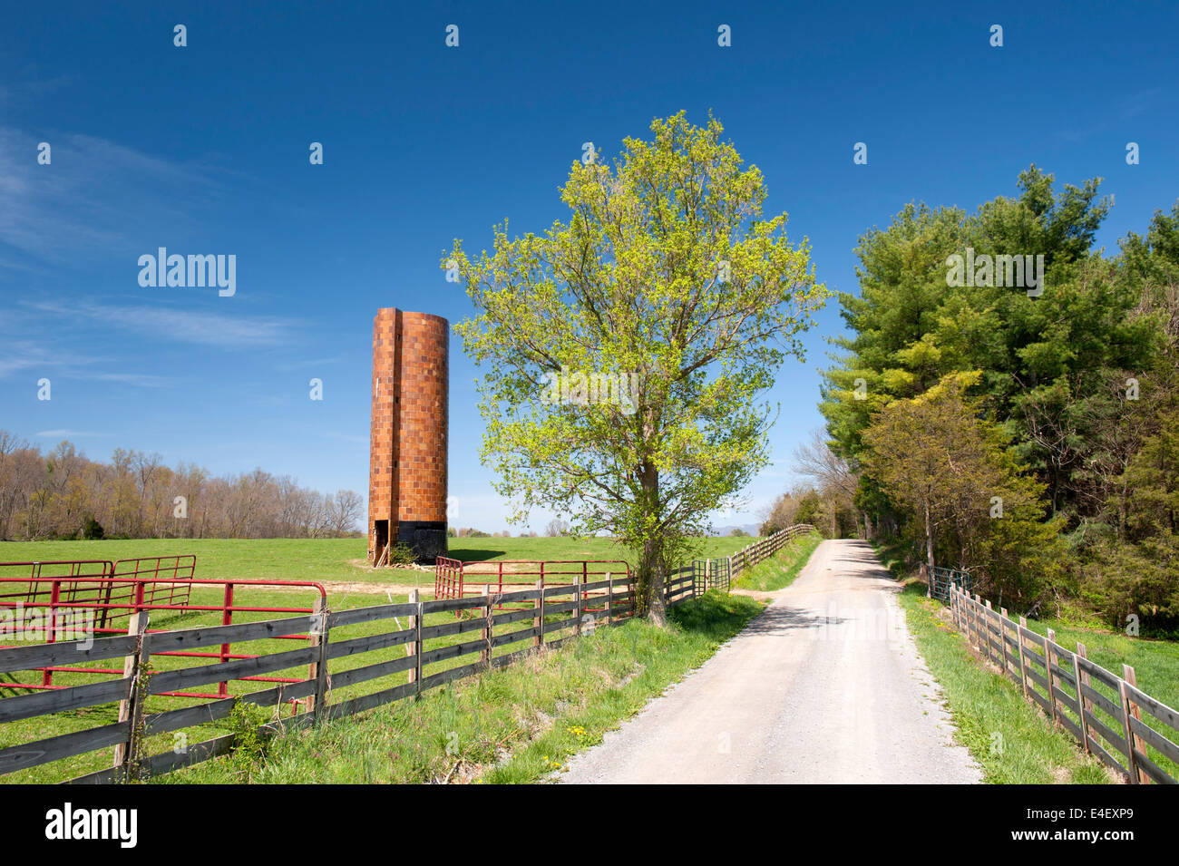 Chemin de terre et silo de tuiles en vallée de Shenandoah, en Virginie. Les silos de tuiles ont été construites pour la plupart au cours des années 1920, dans toutes les régions rurales du Nord. Banque D'Images