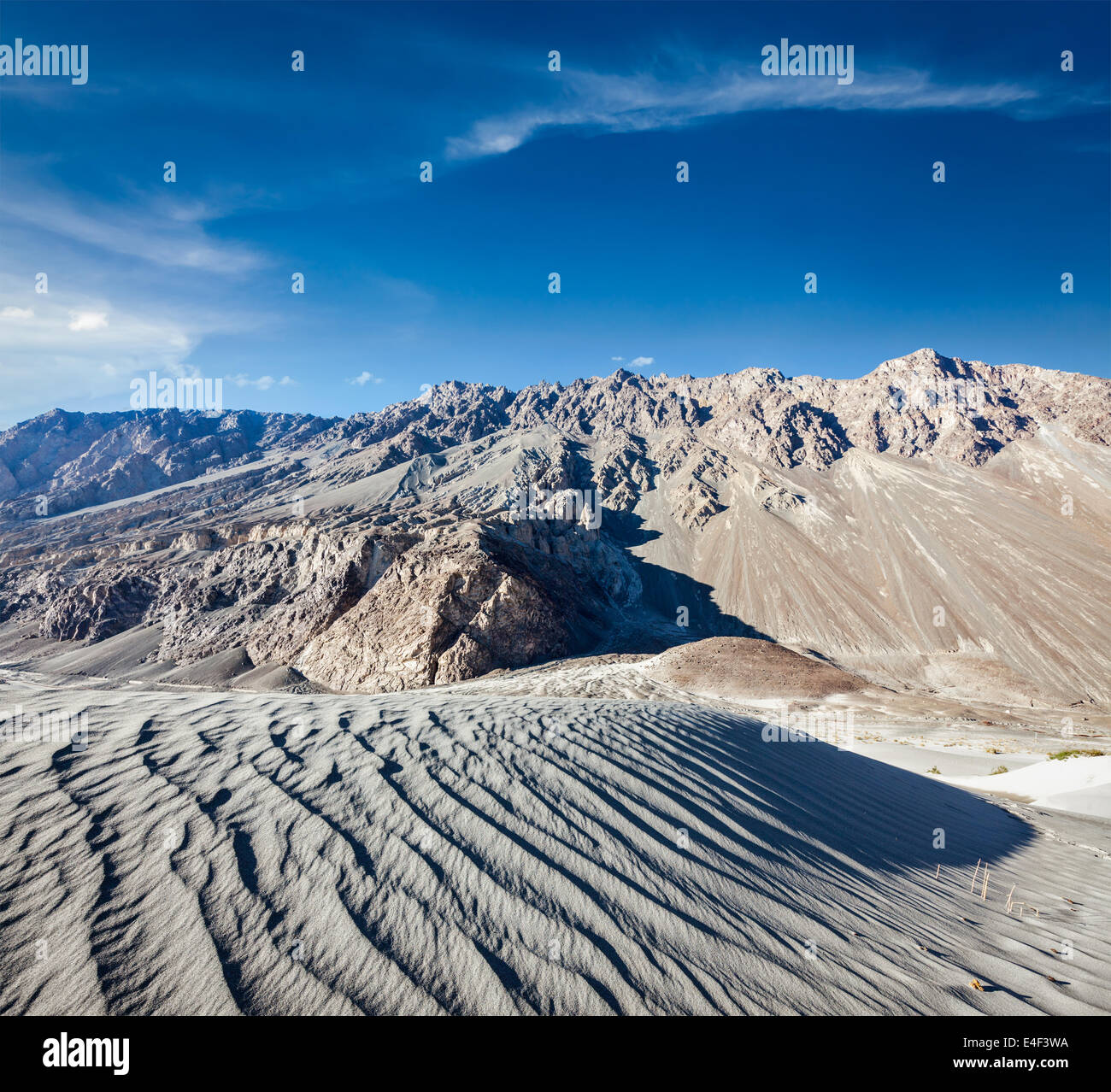 Dunes de sable dans l'Himalaya. Home maison, la vallée de Nubra, Ladakh, Inde Banque D'Images