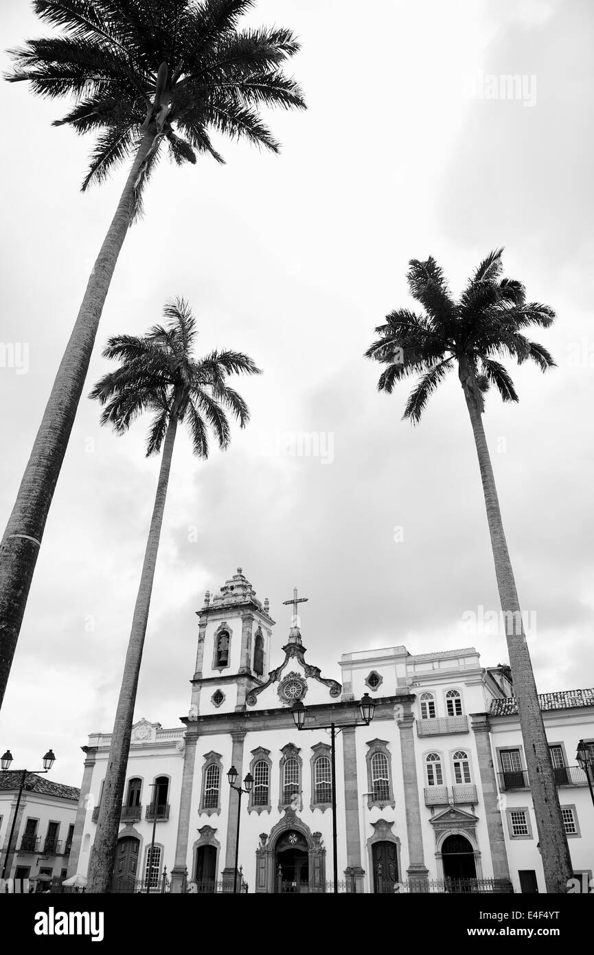 Architecture église coloniale de Anchieta Plaza avec de grands palmiers royaux dans le Pelourinho Salvador de Bahia Brésil Banque D'Images