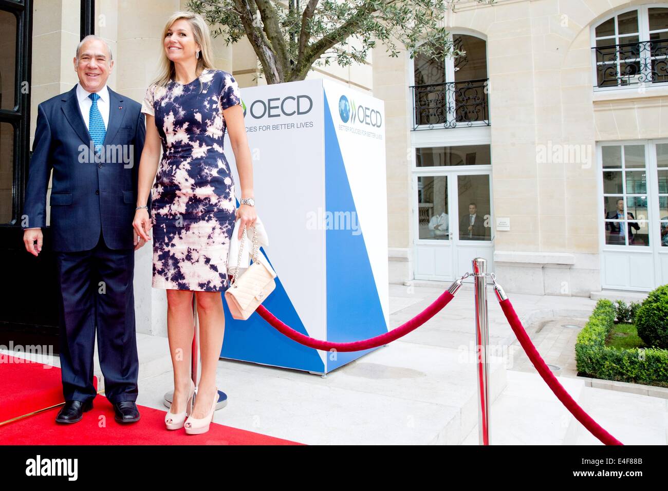 Paris, France. 09 juillet 2014. Maxima la reine des Pays-Bas et le Secrétaire général de l'OCDE, Angel Gurria, assister au lancement du premier rapport PISA de l'OCDE sur la littératie financière à l'OCDE (Organisation de coopération et de développement économiques) à Paris, France, 9 juillet 2014. Reine Maxima est le Secrétaire général de l ?s avocat spécial pour la finance inclusive pour le développement (UNCDF) et d'honneur de la G20 Partenariat mondial sur l'Inclusion Financière. Photo : Patrick van Katwijk/Pays-Bas ET FRANCE OUT - PAS DE SERVICE DE FIL/dpa/Alamy Live News Banque D'Images