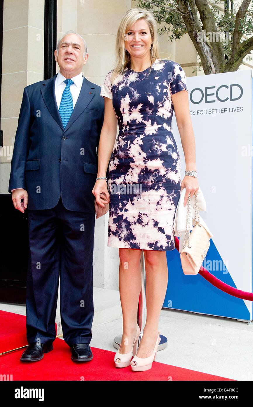 Paris, France. 09 juillet 2014. Maxima la reine des Pays-Bas et le Secrétaire général de l'OCDE, Angel Gurria, assister au lancement du premier rapport PISA de l'OCDE sur la littératie financière à l'OCDE (Organisation de coopération et de développement économiques) à Paris, France, 9 juillet 2014. Reine Maxima est le Secrétaire général de l ?s avocat spécial pour la finance inclusive pour le développement (UNCDF) et d'honneur de la G20 Partenariat mondial sur l'Inclusion Financière. Photo : Patrick van Katwijk/Pays-Bas ET FRANCE OUT - PAS DE SERVICE DE FIL/dpa/Alamy Live News Banque D'Images