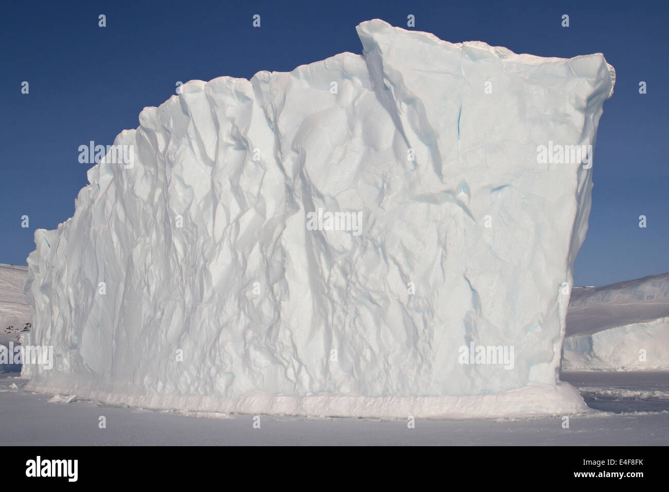 Les icebergs dans l'océan, près de l'îles de l'Antarctique Banque D'Images