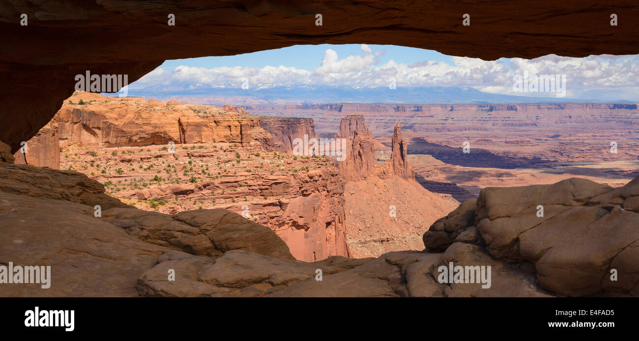 Avis de passage de lavandière de Mesa Arch, des îles dans le ciel, Canyonlands National Park, Utah, USA Banque D'Images