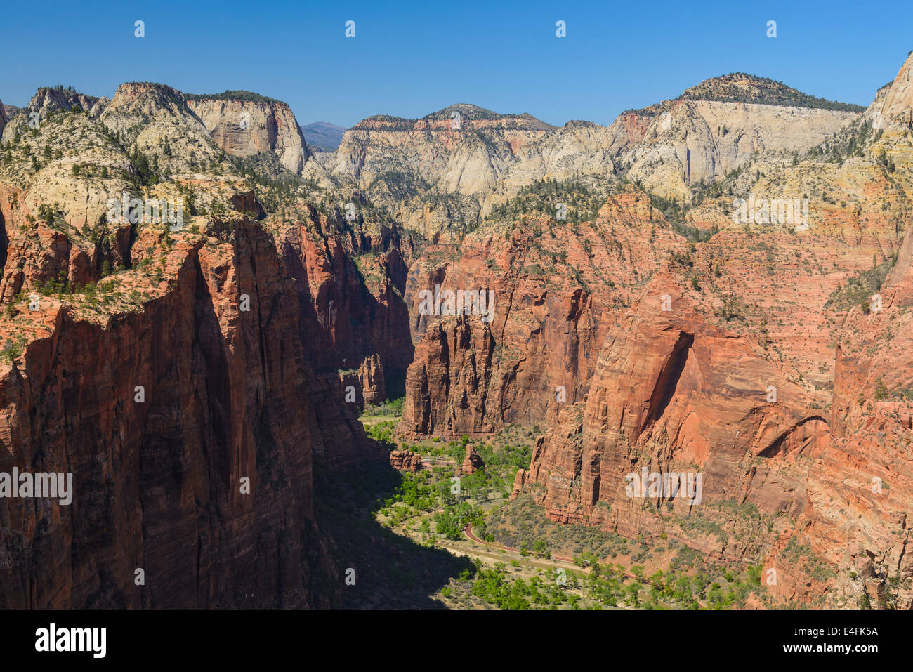 Avis de Zion Canyon de Angels Landing, Zion National Park, Utah, USA Banque D'Images