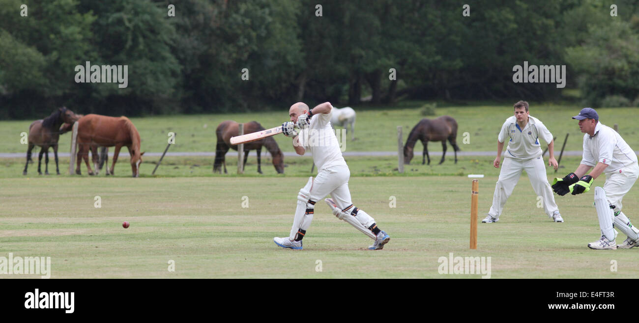 Jouer un match de cricket sur la nouvelle forêt comme poneys paissent dans l'arrière-plan. Banque D'Images