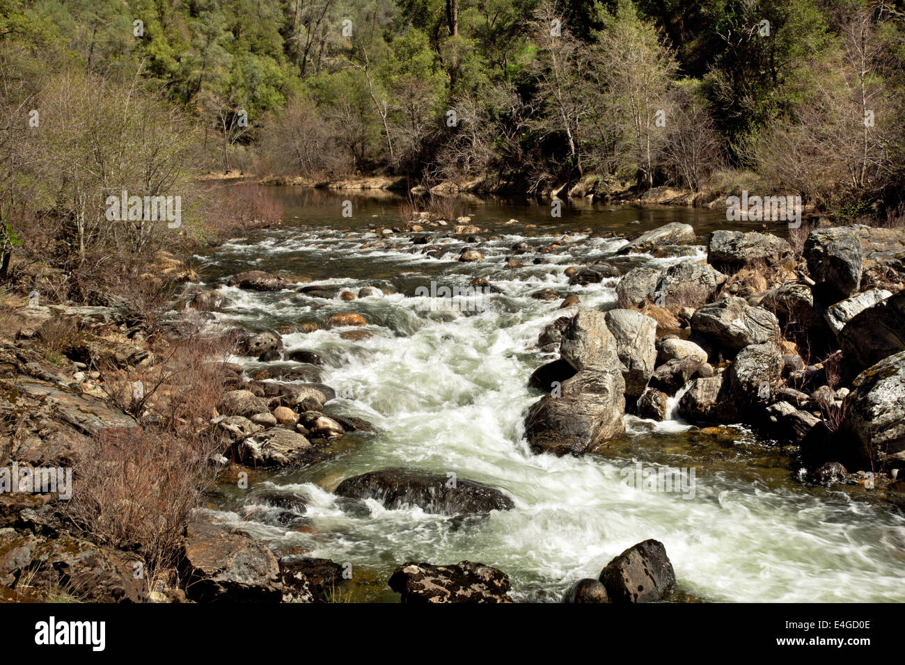 Californie - branche sud de la rivière Merced Hite Cove Sentier dans la Sierra National Forest. Banque D'Images