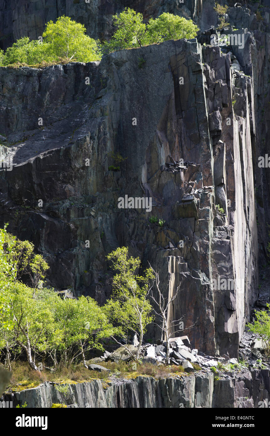 Padarn Country Park, Llanberis, Gwynedd Banque D'Images