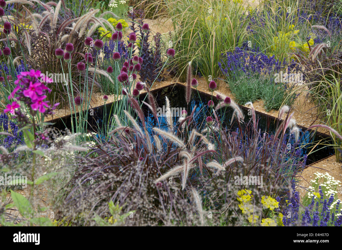 Le spectacle d'un jardin avec Alexandra Noble à RHS Hampton Court Palace Flower Show 2014- vue de la plantation et des piscines Banque D'Images