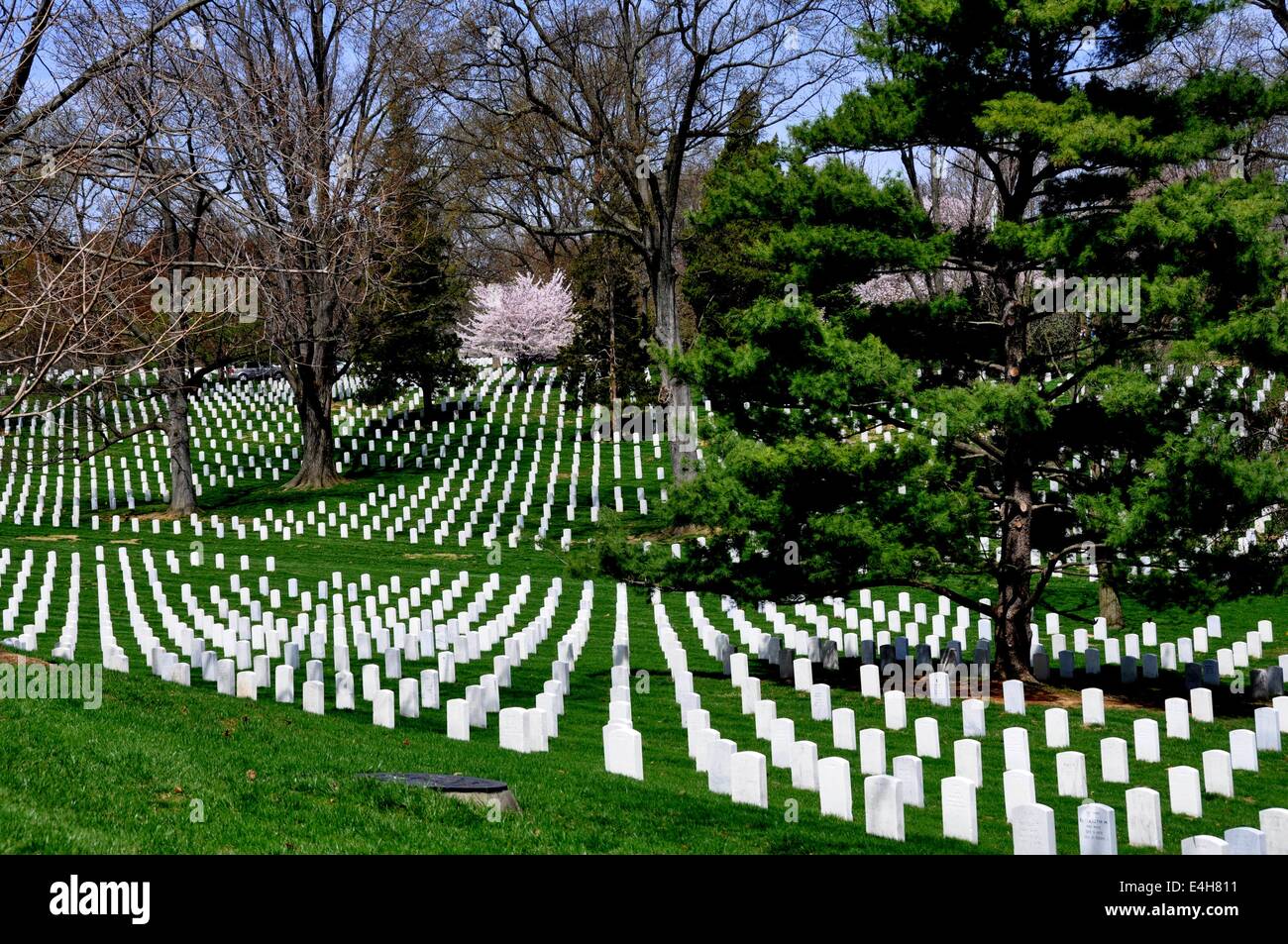 Arlington, Virginia : énoncés des rangées de tombes militaires couvrent les pelouses bien au cimetière national d'Arlington Banque D'Images