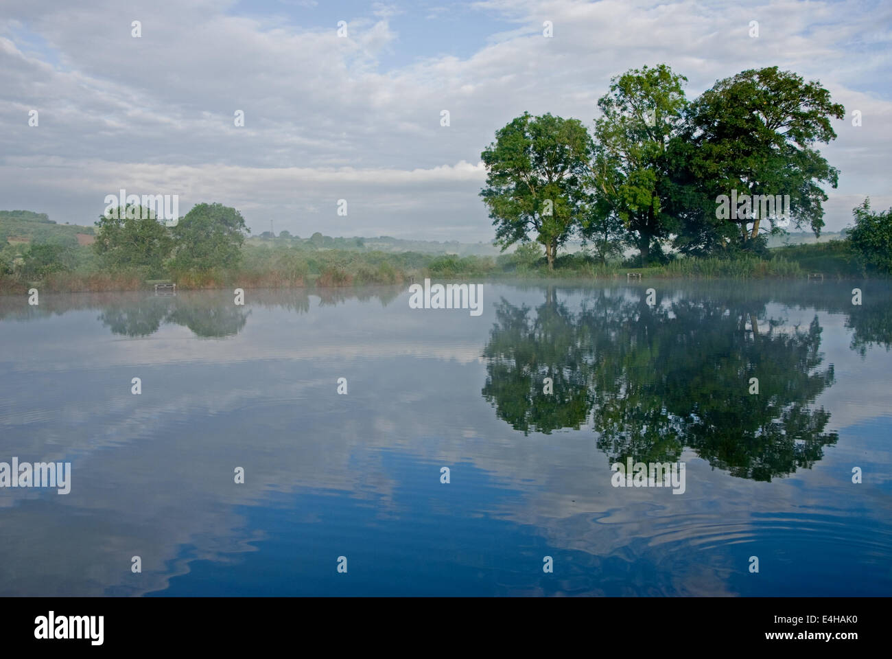Arbres se reflétant dans l'eau encore d'un lac, avec l'augmentation de la Brume . Banque D'Images
