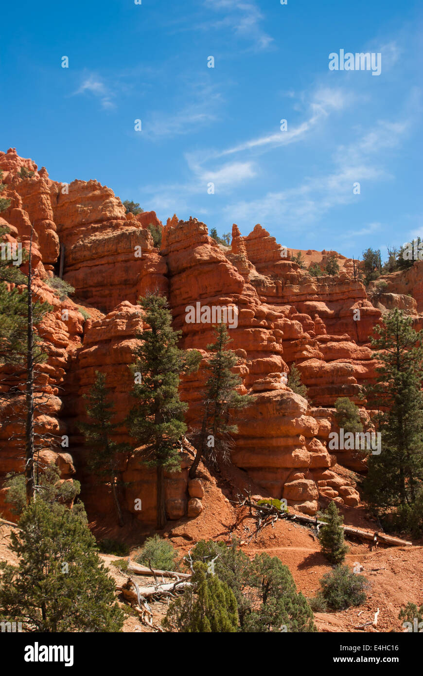 Red canyon rochers de grès de l'Utah Banque D'Images