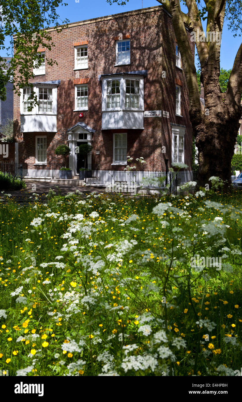 La belle région de Highgate à Londres. Banque D'Images