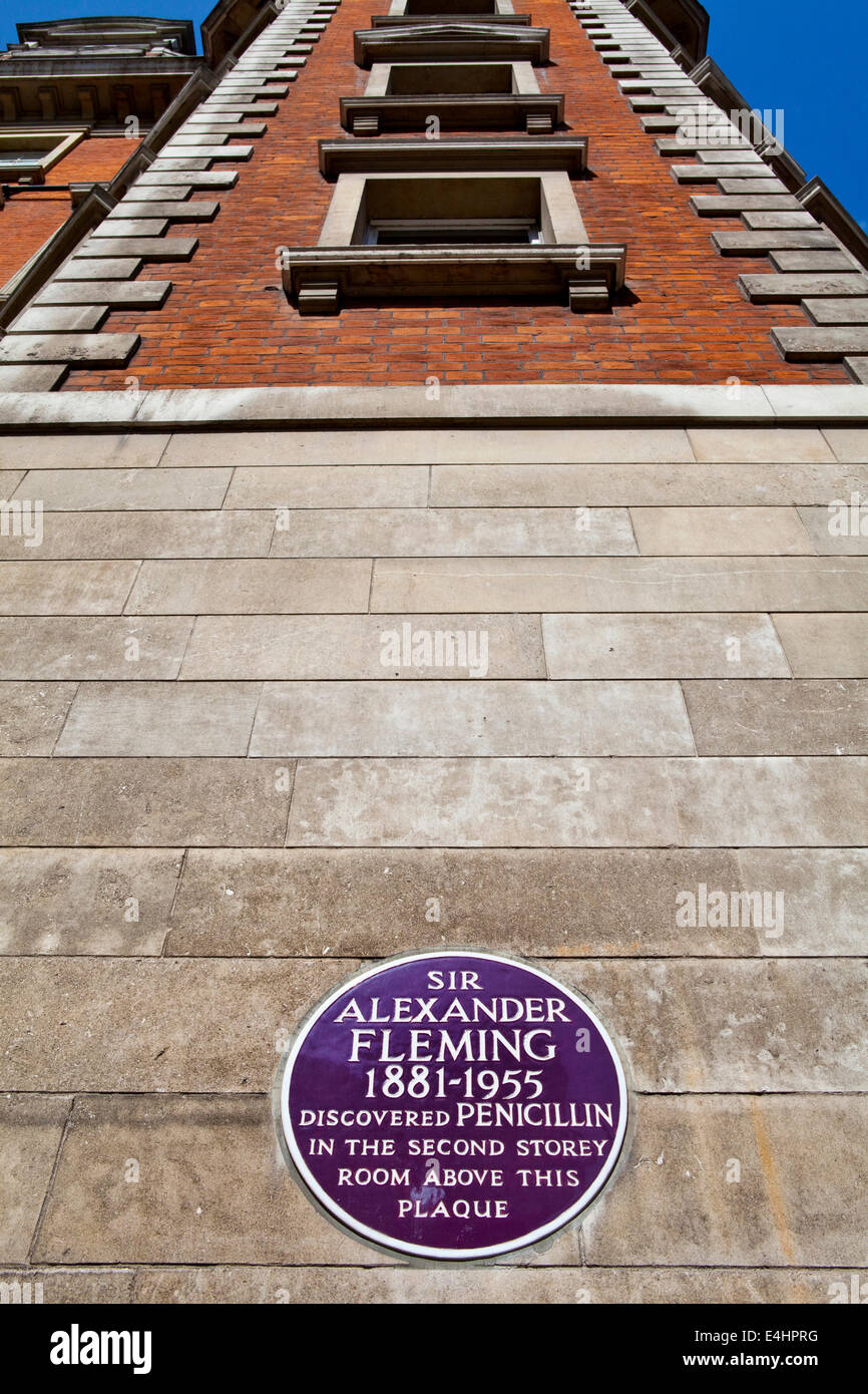 Sir Alexander Fleming Plaque au St Mary's Hospital à Londres. L'emplacement où Fleming a découvert la pénicilline. Banque D'Images