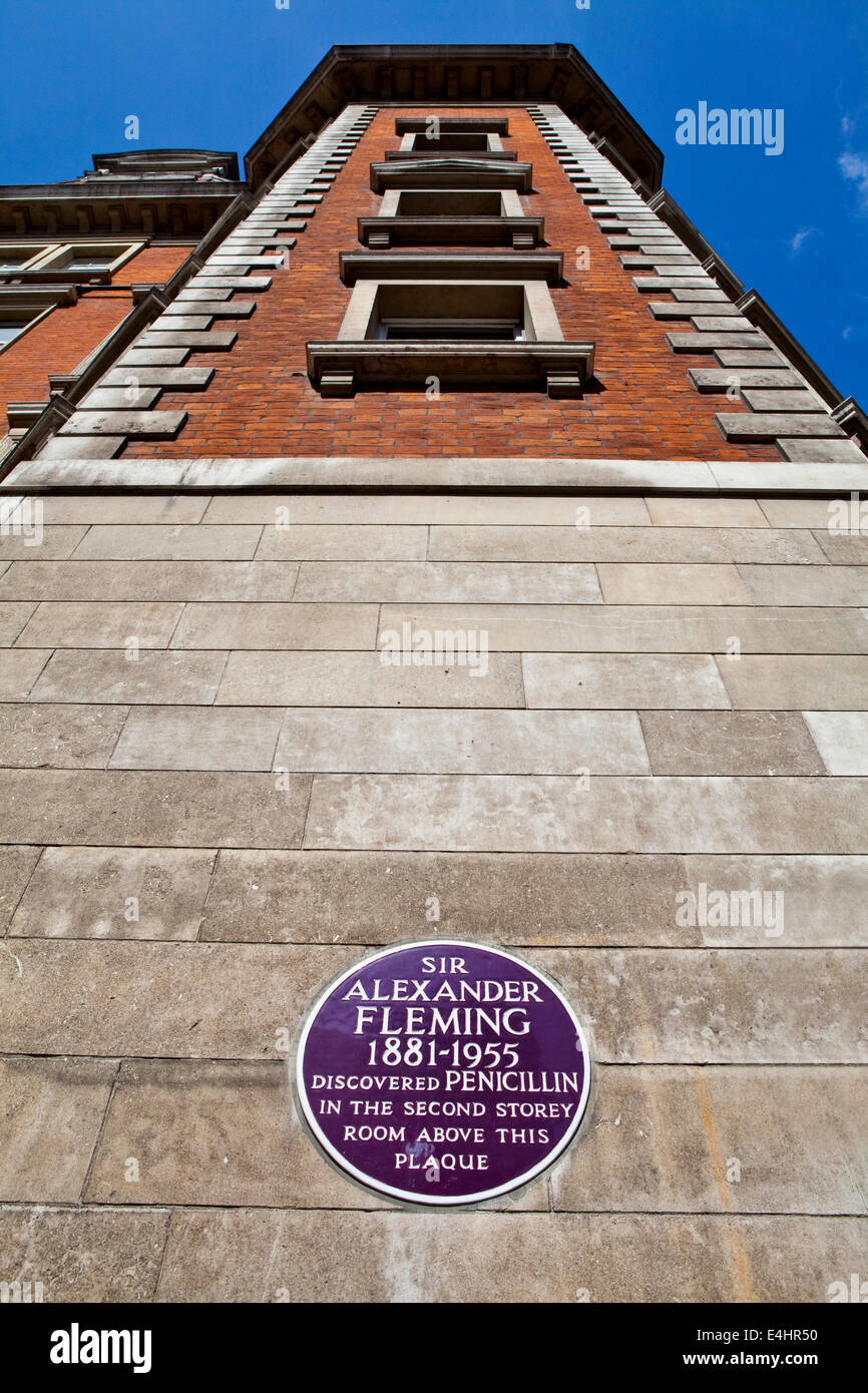 Sir Alexander Fleming Plaque au St Mary's Hospital à Londres. L'emplacement où Fleming a découvert la pénicilline. Banque D'Images